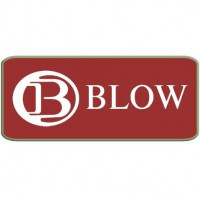 Пистолеты BLOW