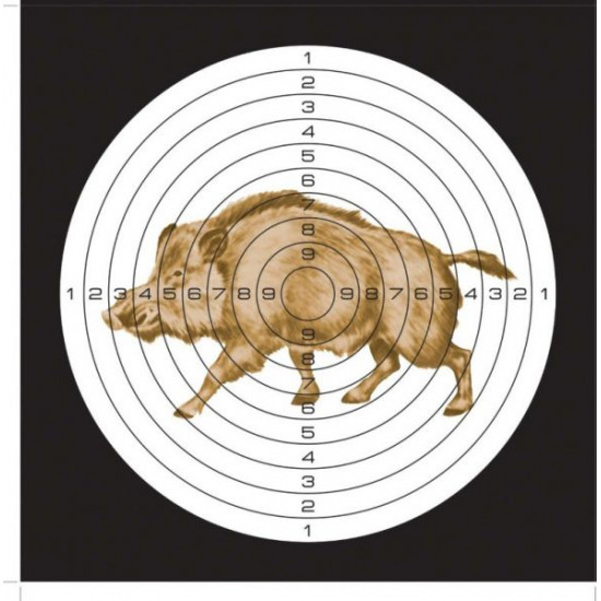 Мишень для пневматики Кабан 140*140 картон (50шт) 